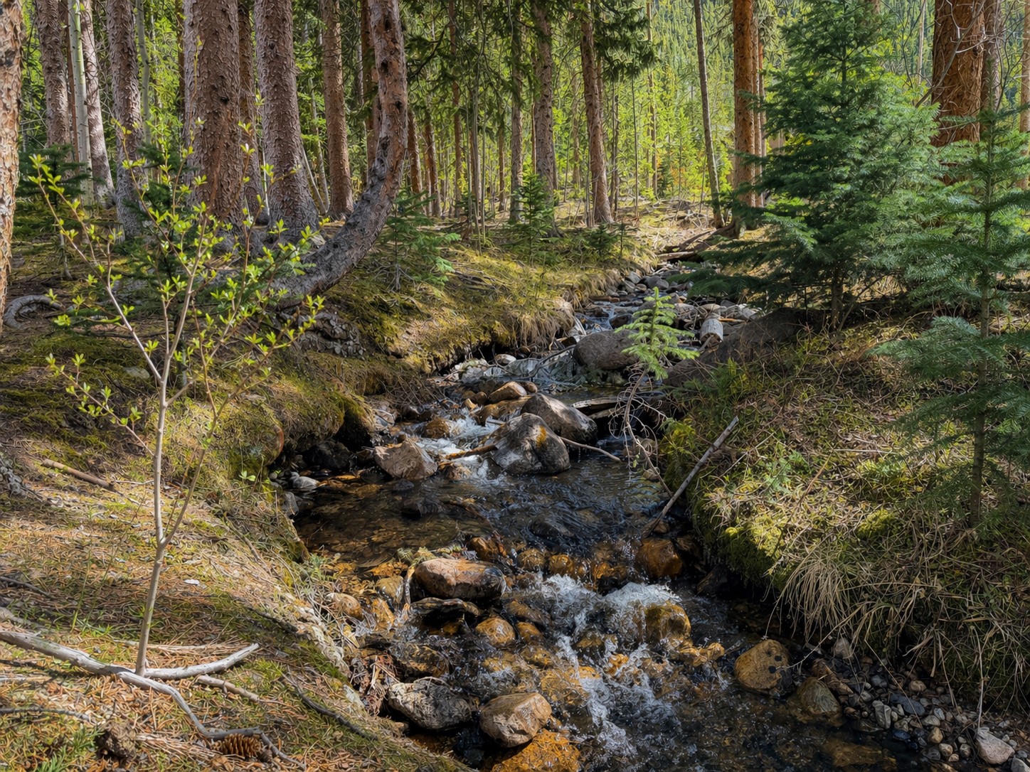 189 Tip Top Trail Keystone CO 80435