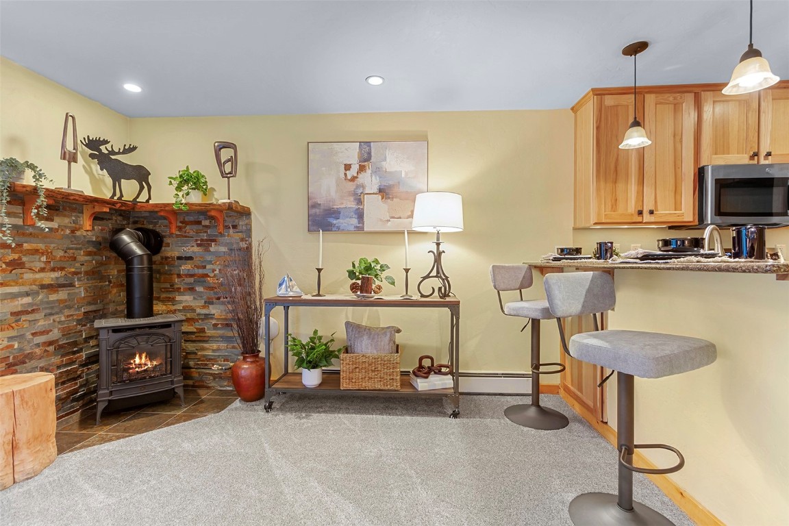361 Salt Lick Circle Silverthorne CO 80498
