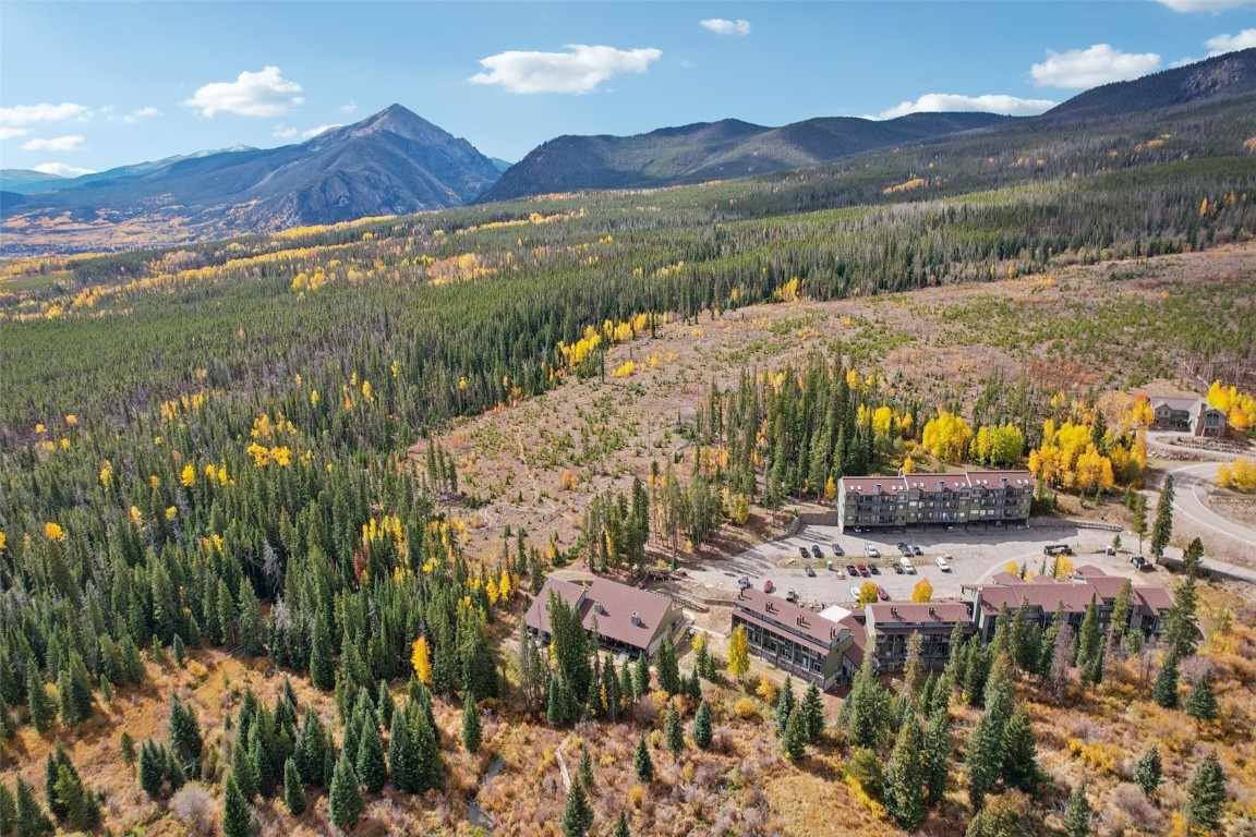 10500 Ryan Gulch Road Silverthorne CO 80498