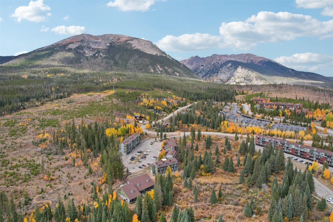 10500 Ryan Gulch Road Silverthorne CO 80498