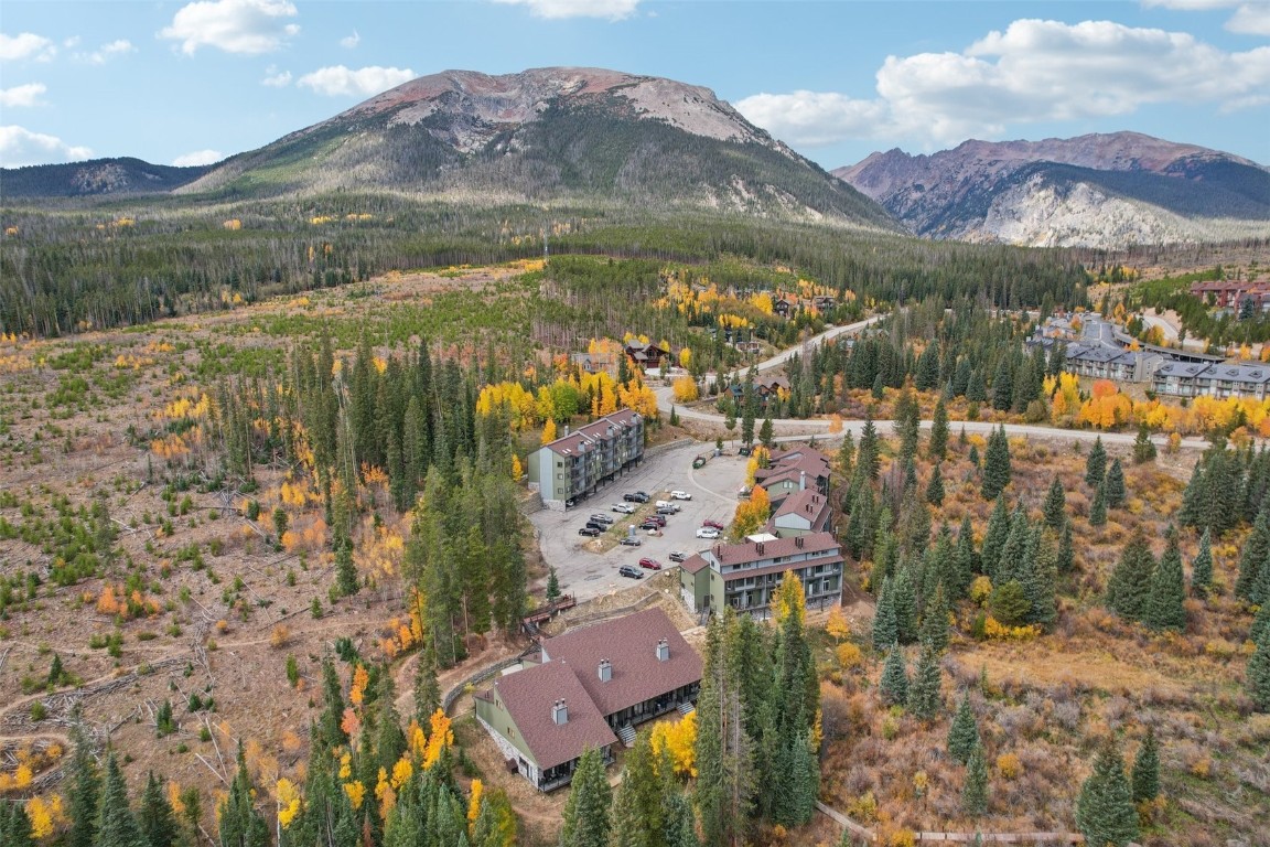 10500 Ryan Gulch Road Silverthorne CO 80498