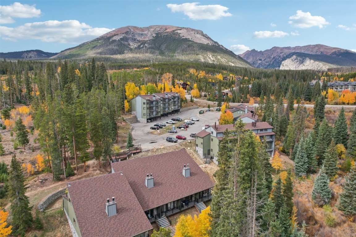 10500 Ryan Gulch Road Silverthorne CO 80498
