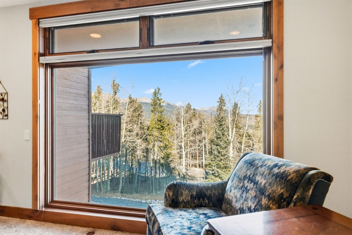 1682 Boreas Pass Road Breckenridge CO 80424
