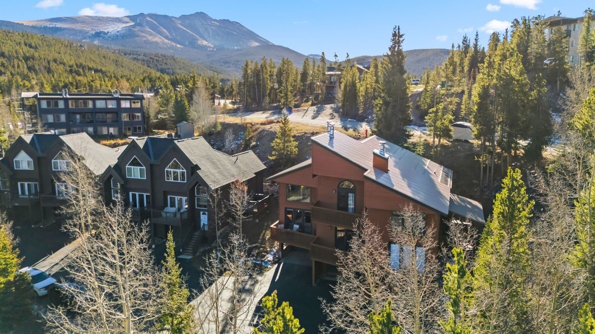 1682 Boreas Pass Road Breckenridge CO 80424