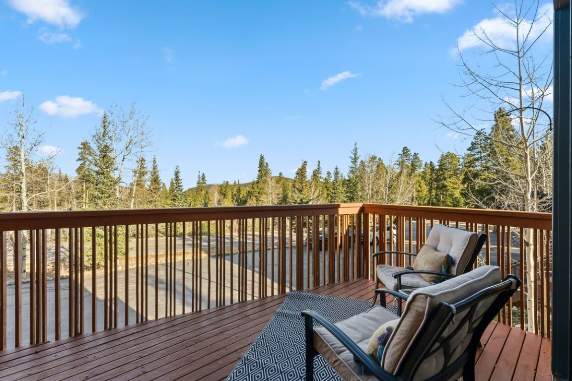 1682 Boreas Pass Road Breckenridge CO 80424