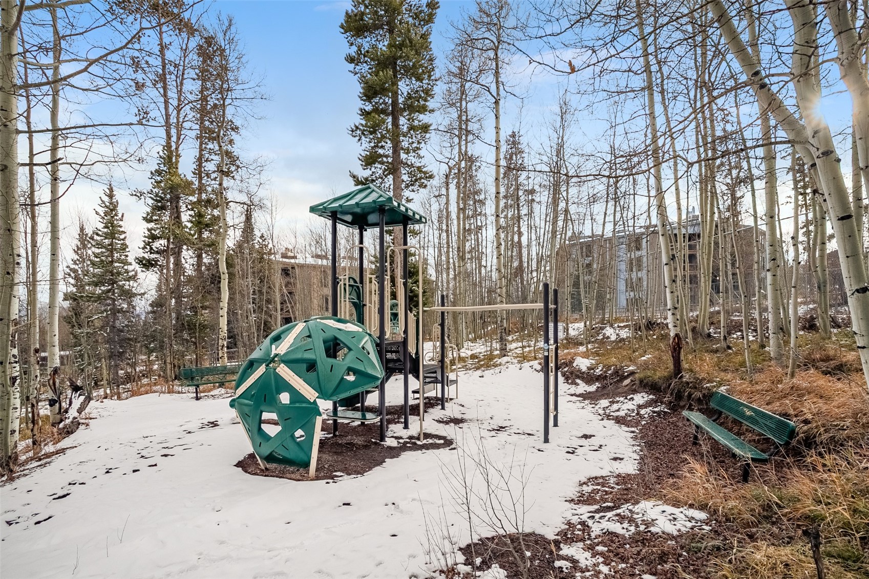 2300 Lodge Pole Circle Silverthorne CO 80498