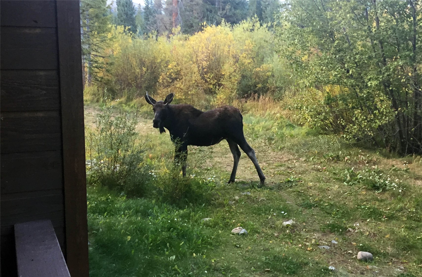 10000 Ryan Gulch Road Silverthorne CO 80498