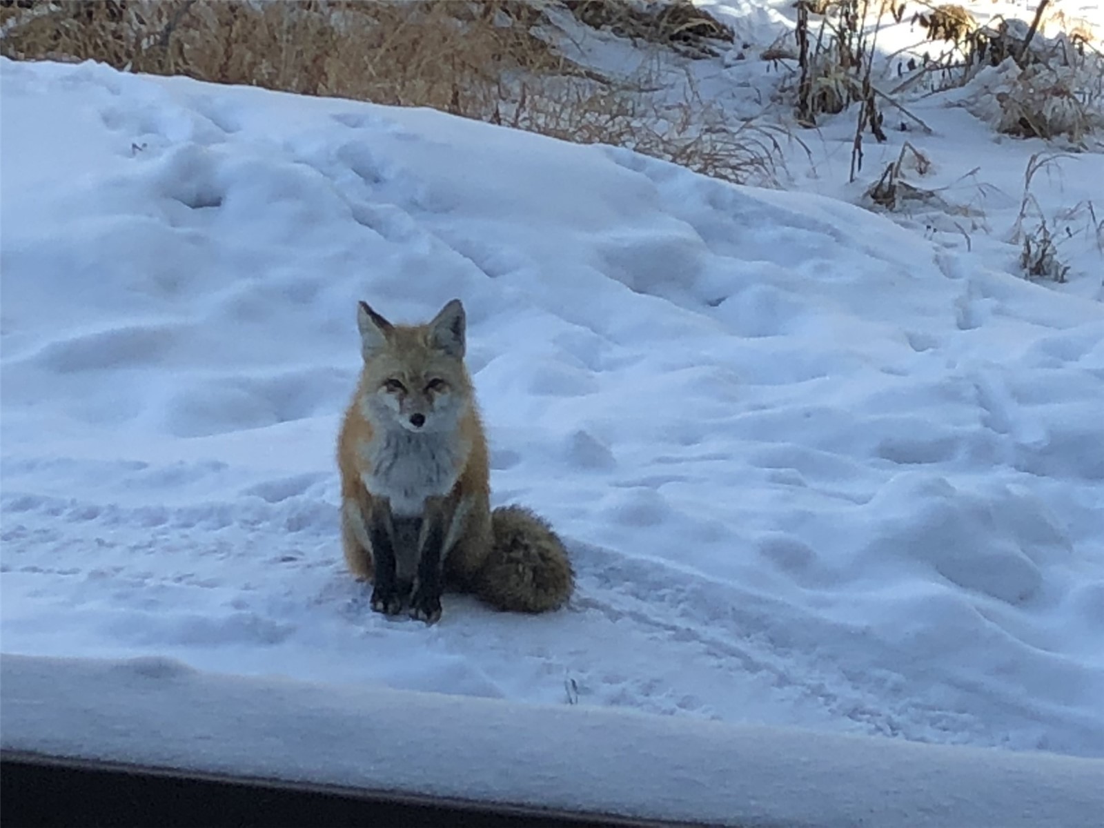 10000 Ryan Gulch Road Silverthorne CO 80498