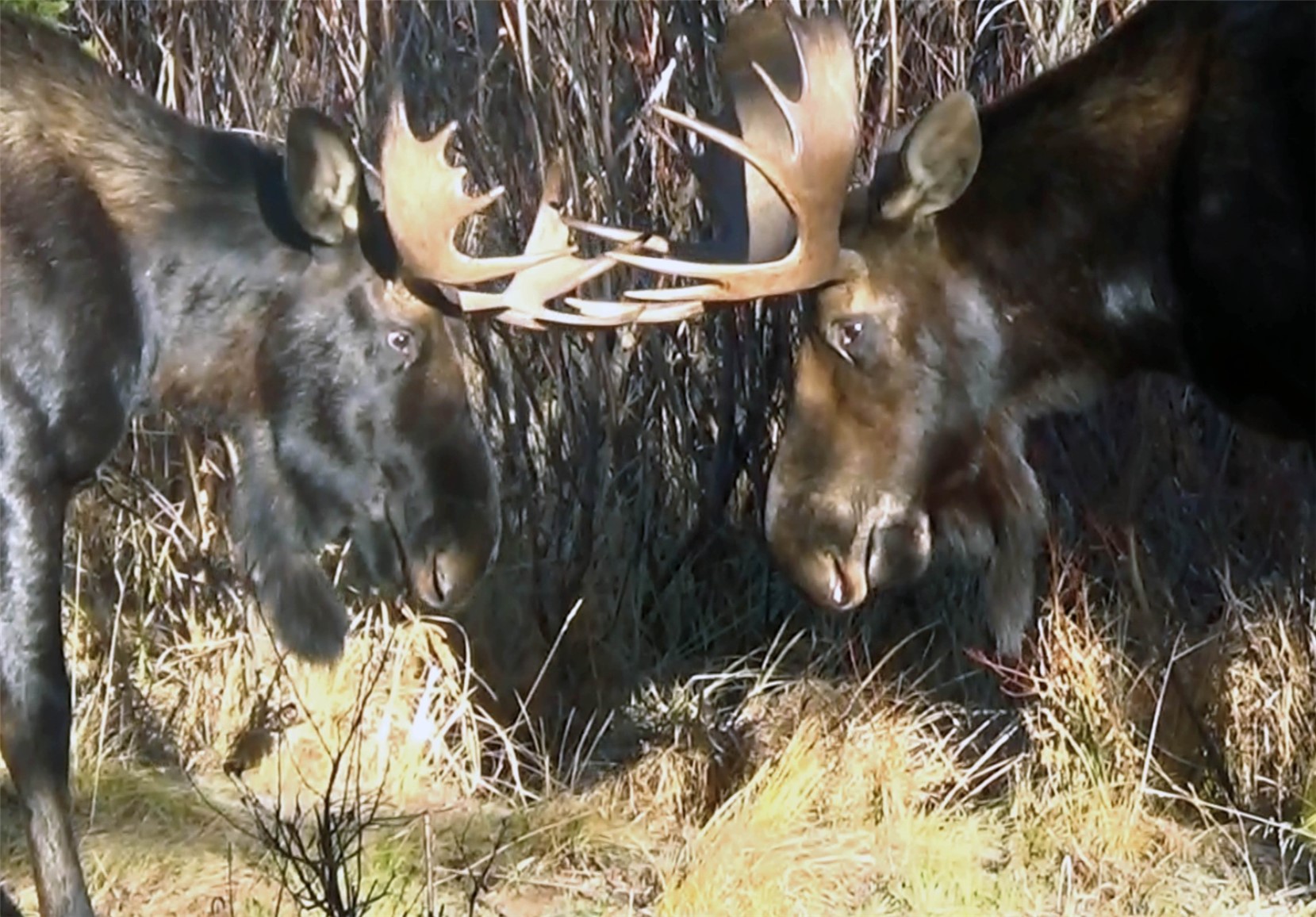 10000 Ryan Gulch Road Silverthorne CO 80498