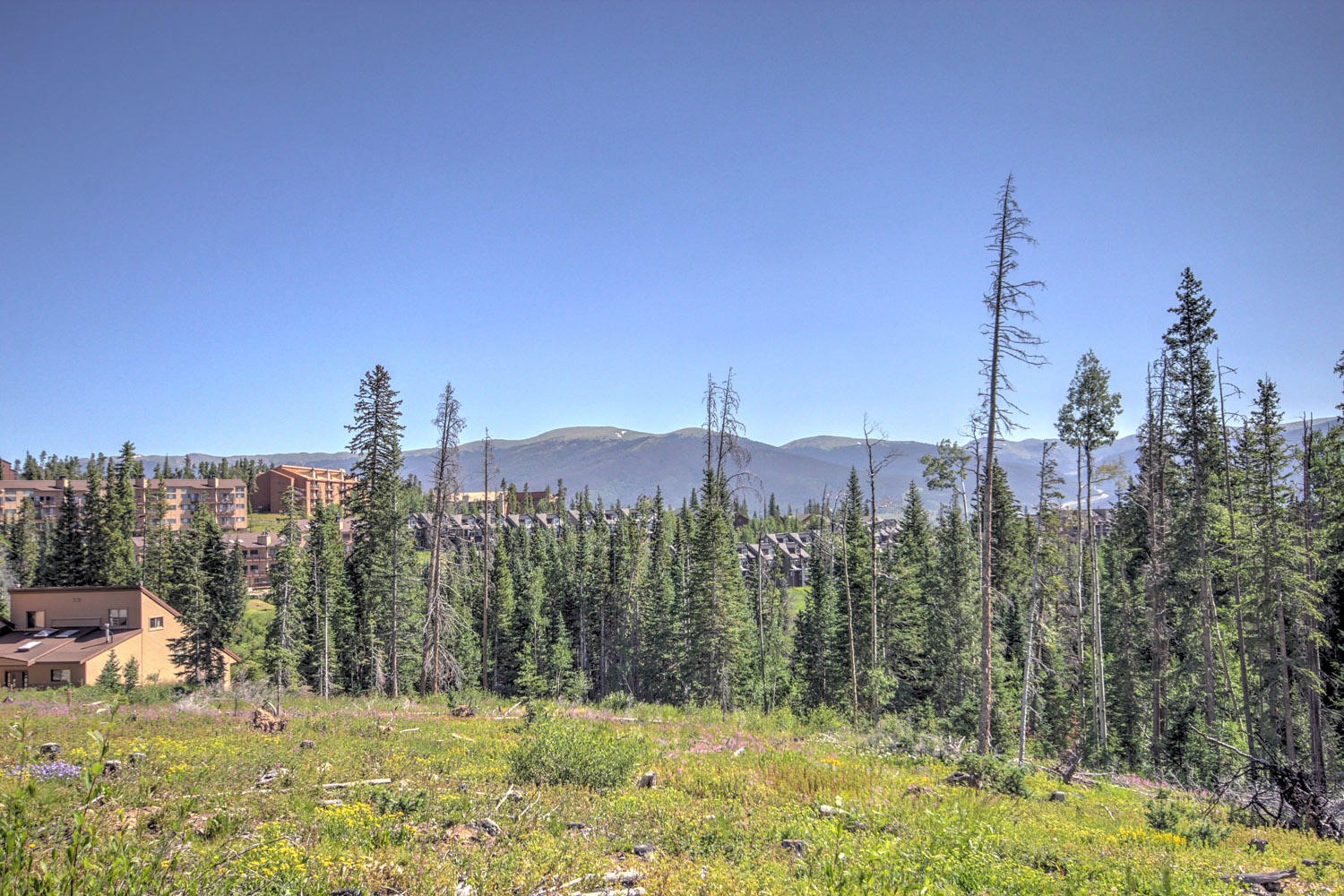 10000 Ryan Gulch Road Silverthorne CO 80498