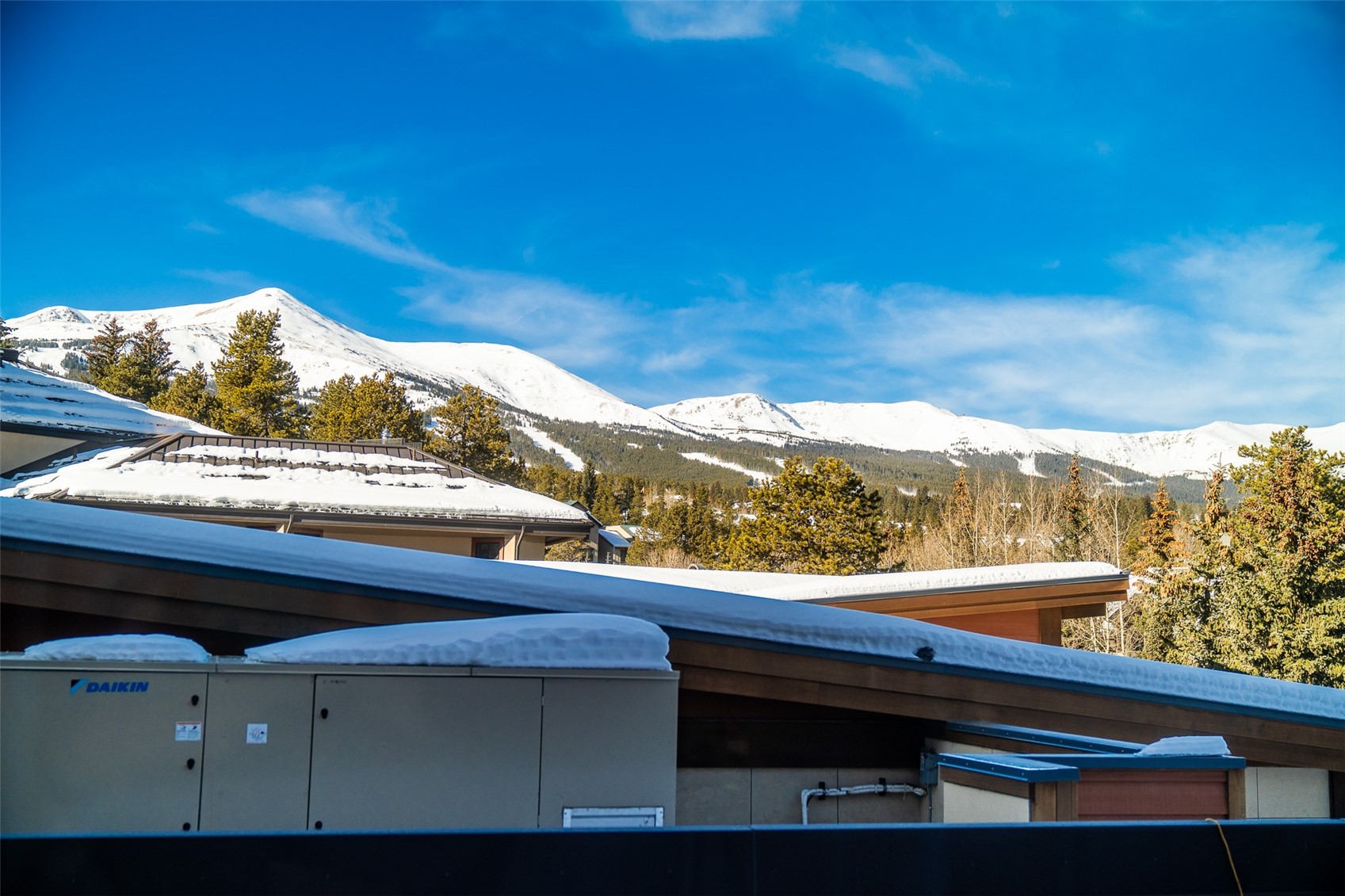 535 S Park Avenue Breckenridge CO 80424