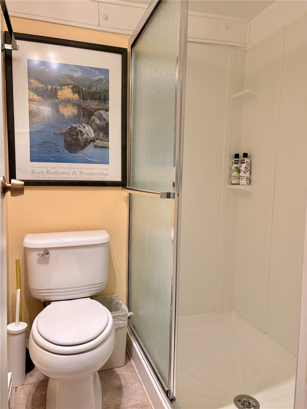 78 Guller Road Copper Mountain CO 80443