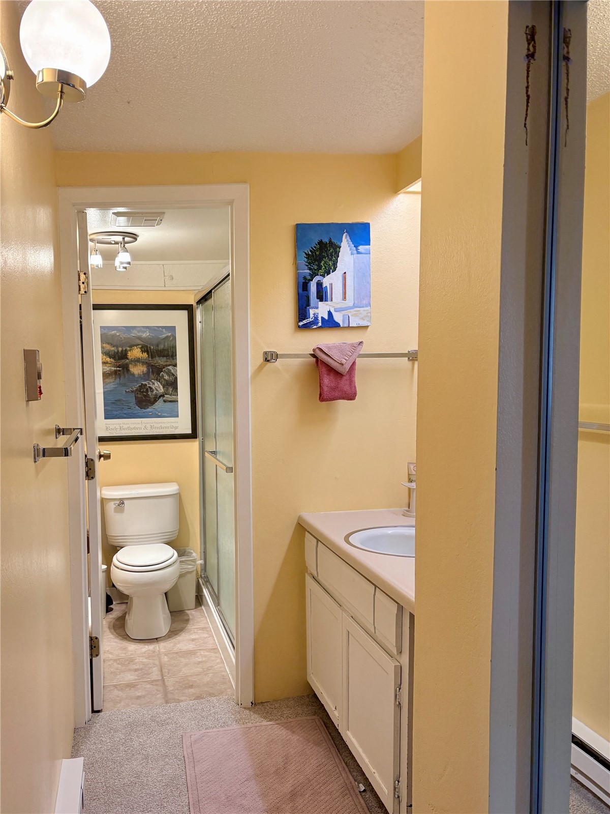 78 Guller Road Copper Mountain CO 80443