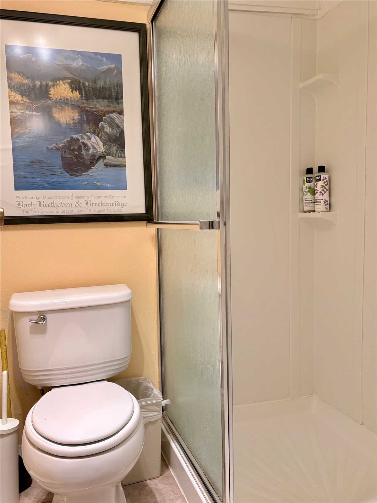78 Guller Road Copper Mountain CO 80443