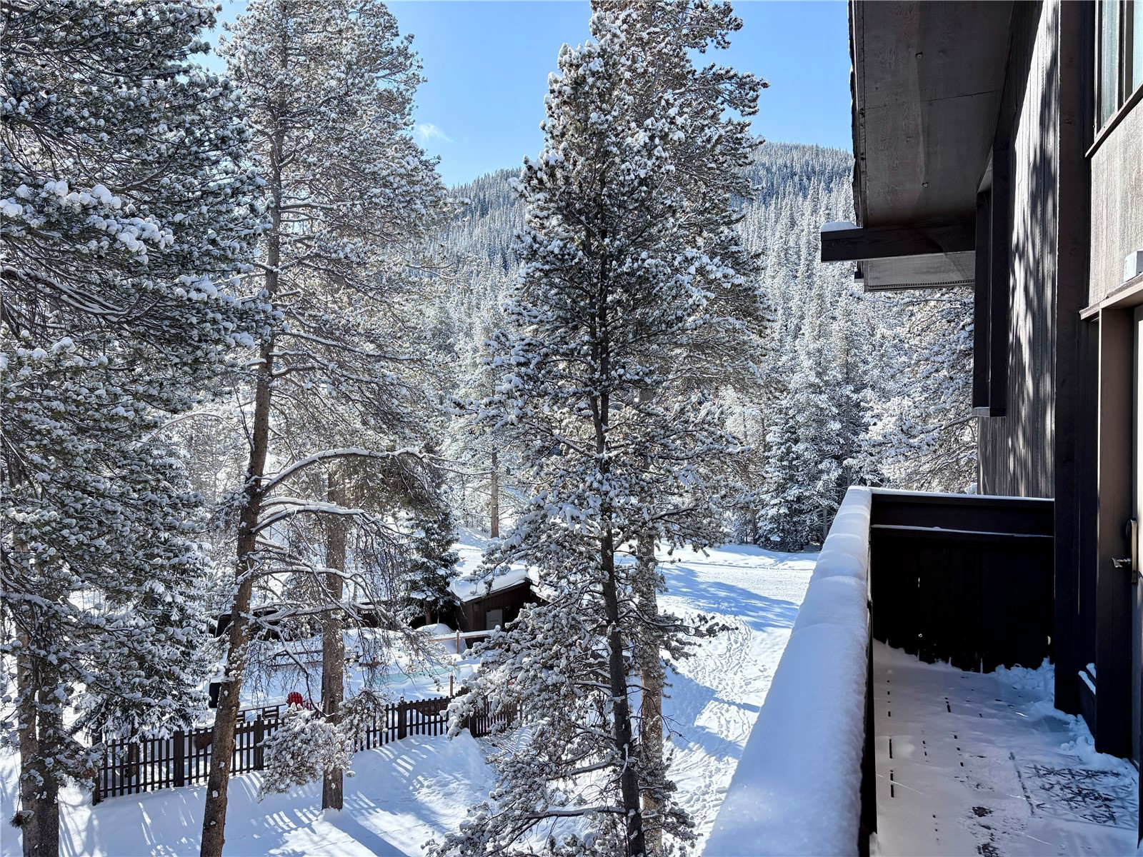 78 Guller Road Copper Mountain CO 80443