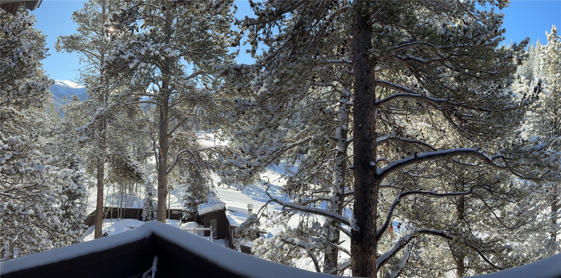 78 Guller Road Copper Mountain CO 80443