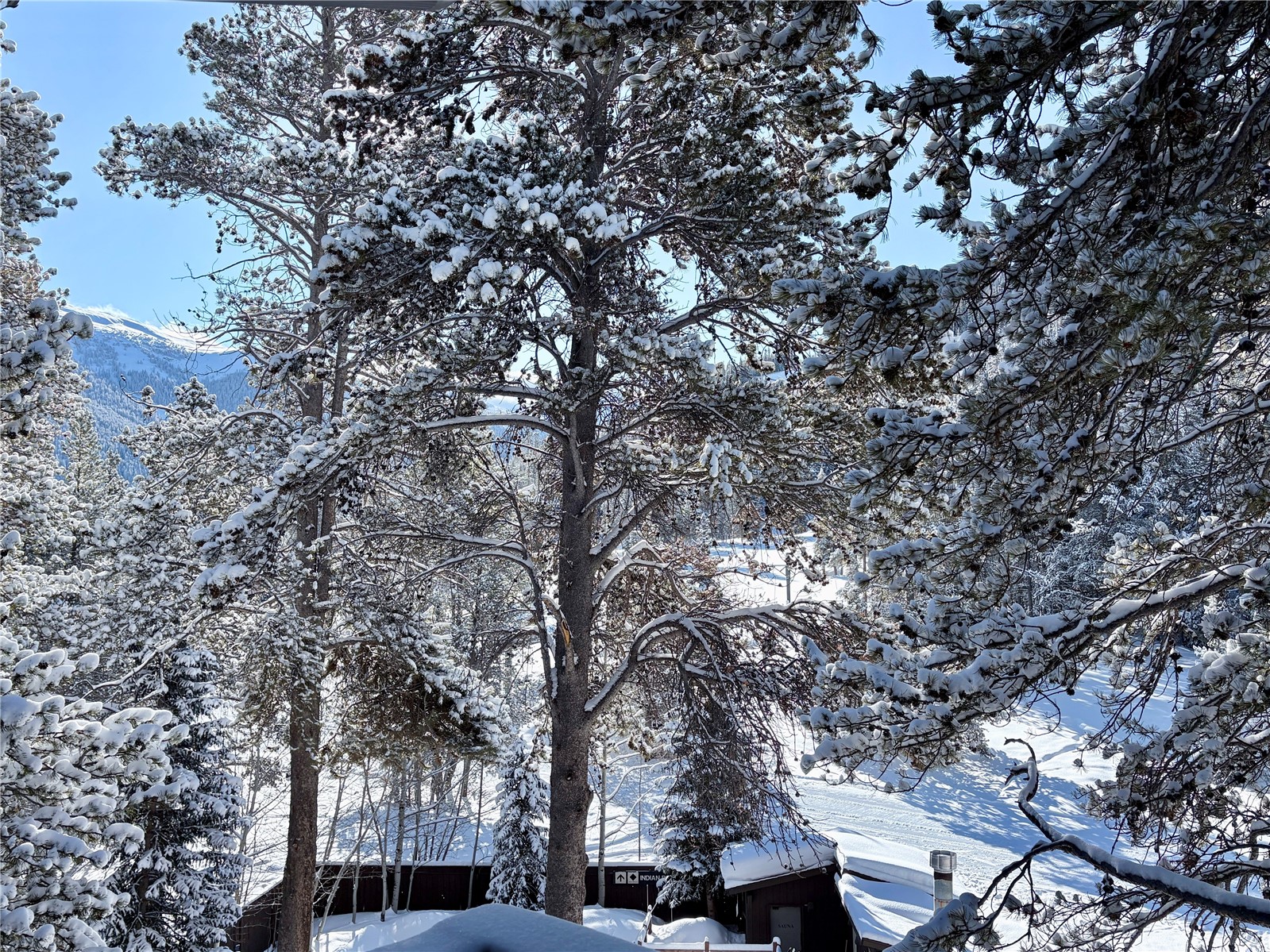 78 Guller Road Copper Mountain CO 80443