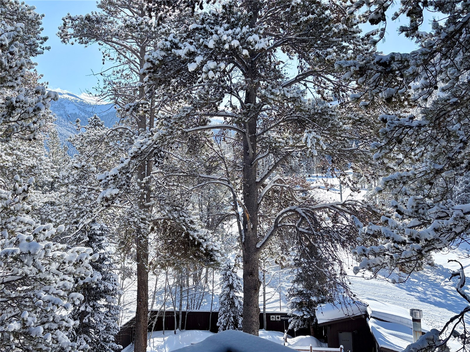 78 Guller Road Copper Mountain CO 80443