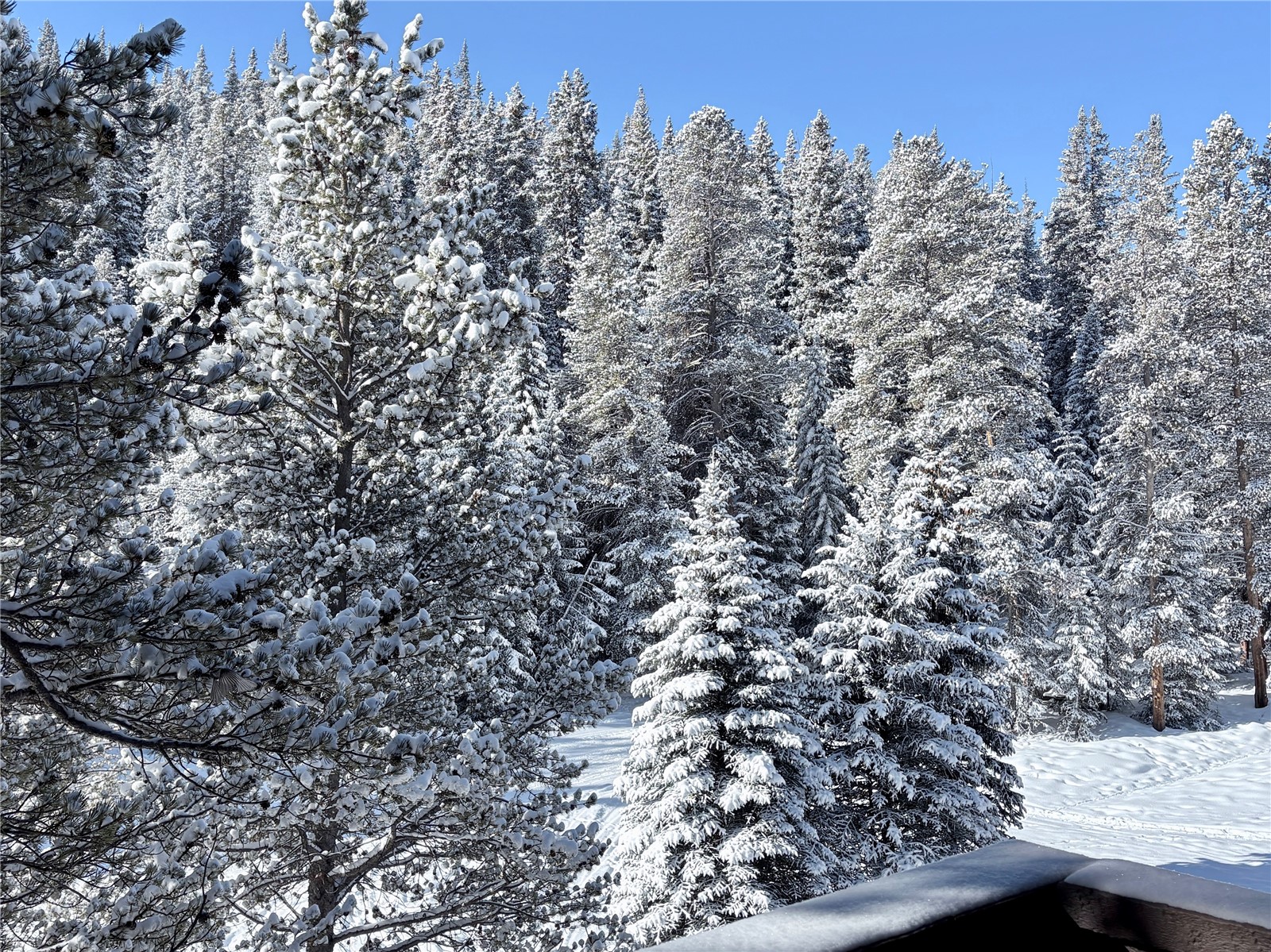 78 Guller Road Copper Mountain CO 80443