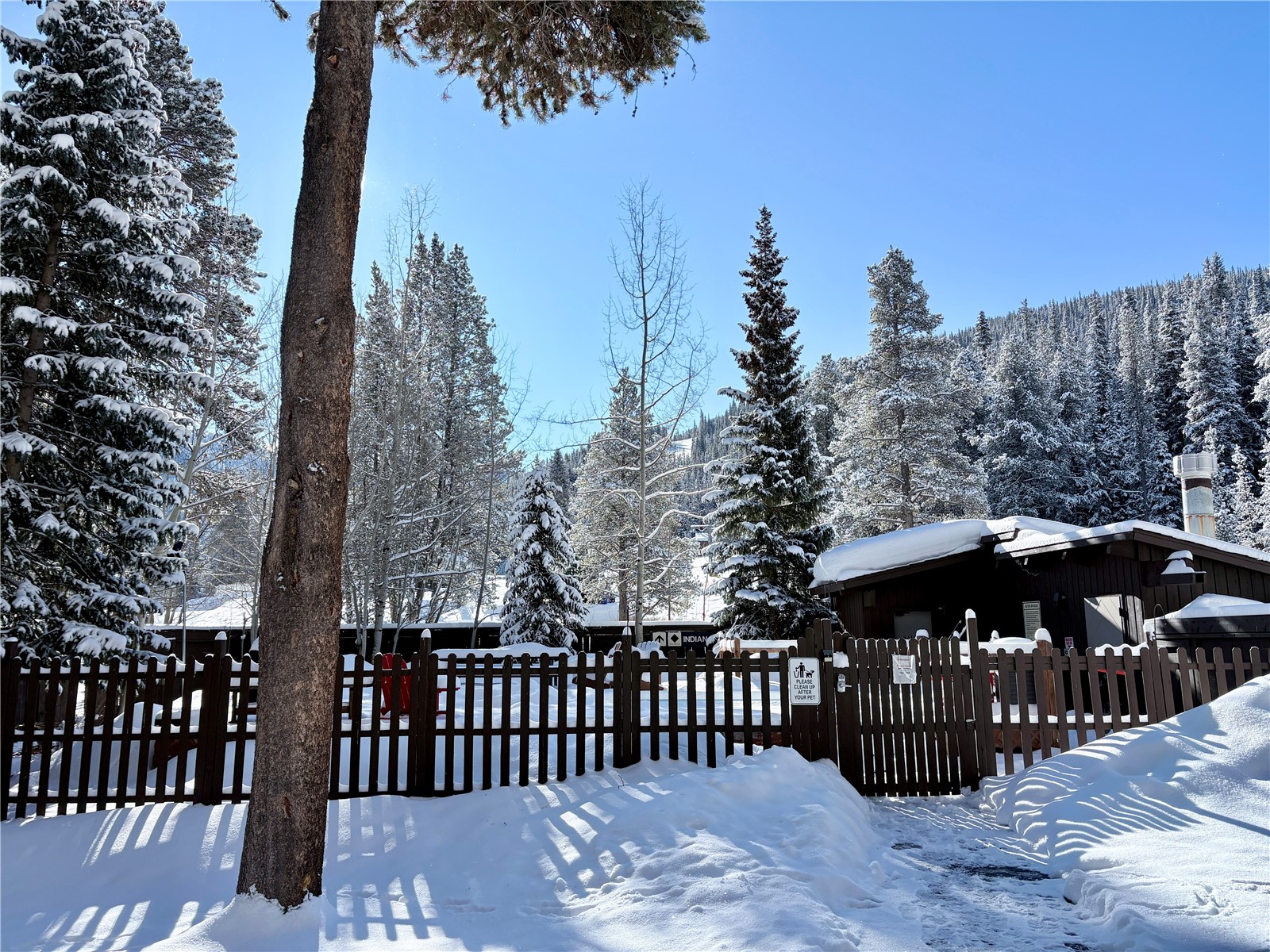 78 Guller Road Copper Mountain CO 80443
