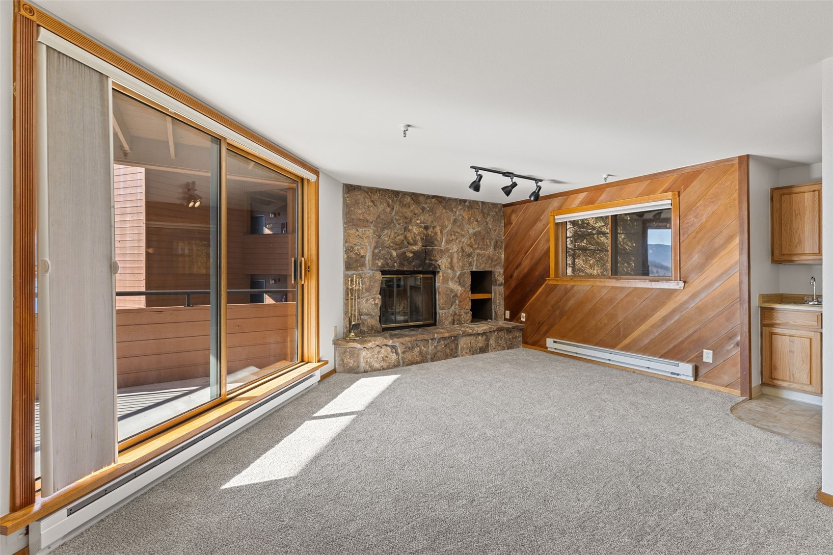 188 E La Bonte Street Dillon CO 80435
