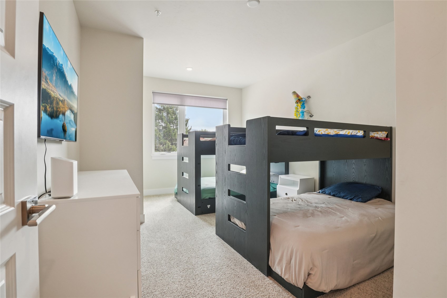 235 E La Bonte Street Dillon CO 80435
