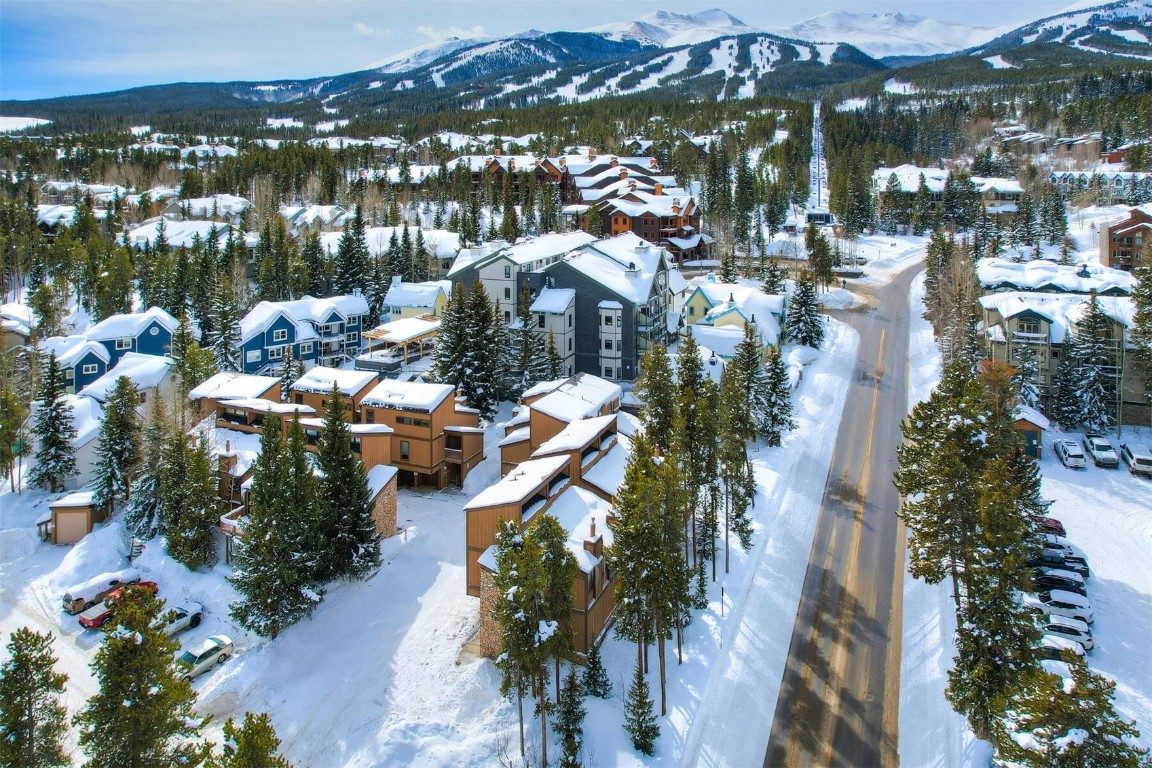 205 Primrose Path Breckenridge CO 80424