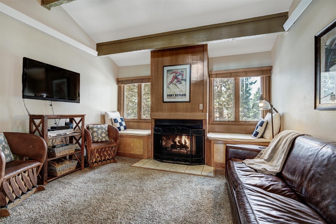 205 Primrose Path Breckenridge CO 80424