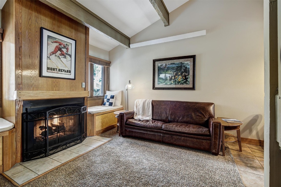 205 Primrose Path Breckenridge CO 80424
