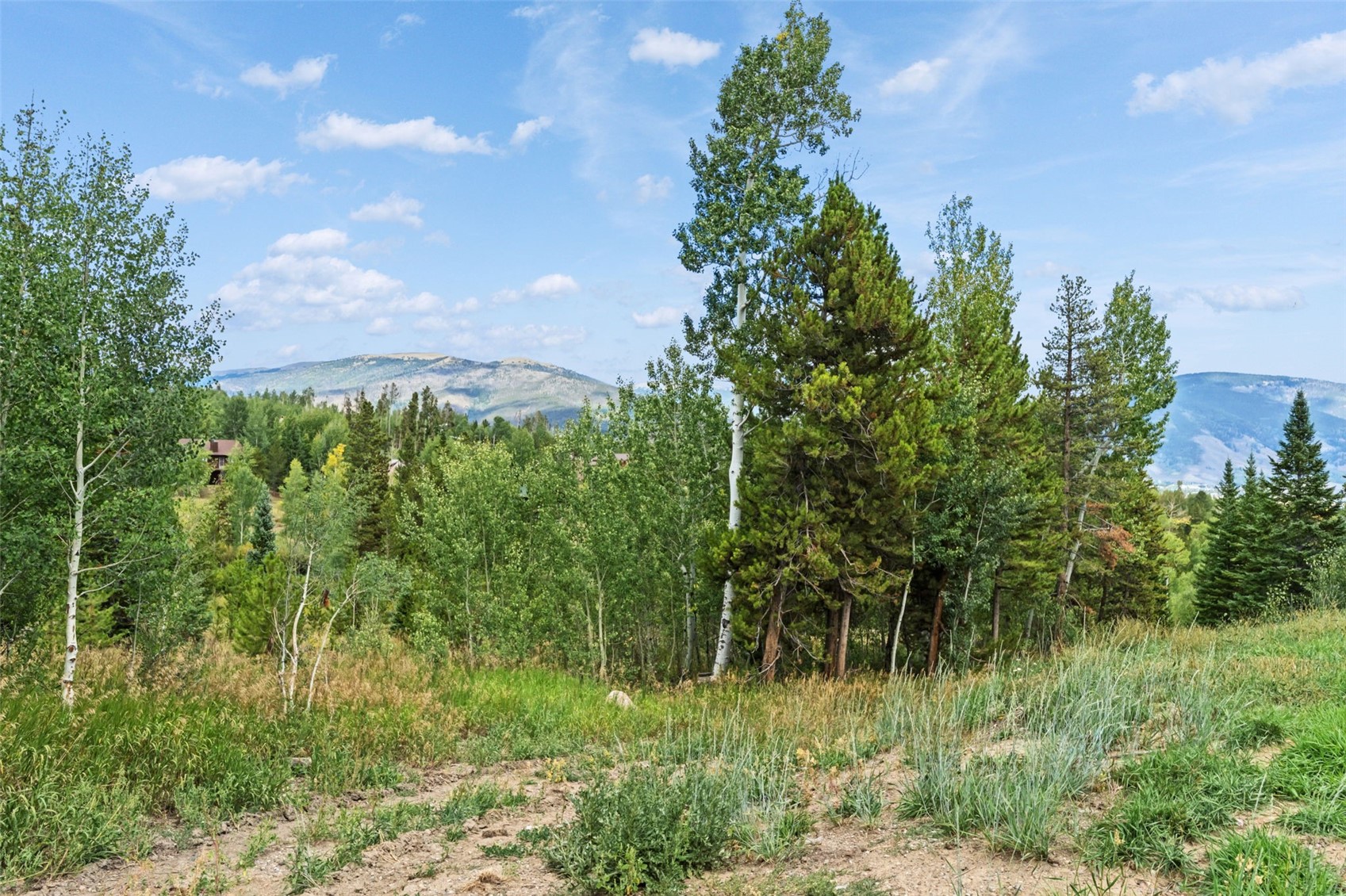 6714 Ryan Gulch Road Silverthorne CO 80498