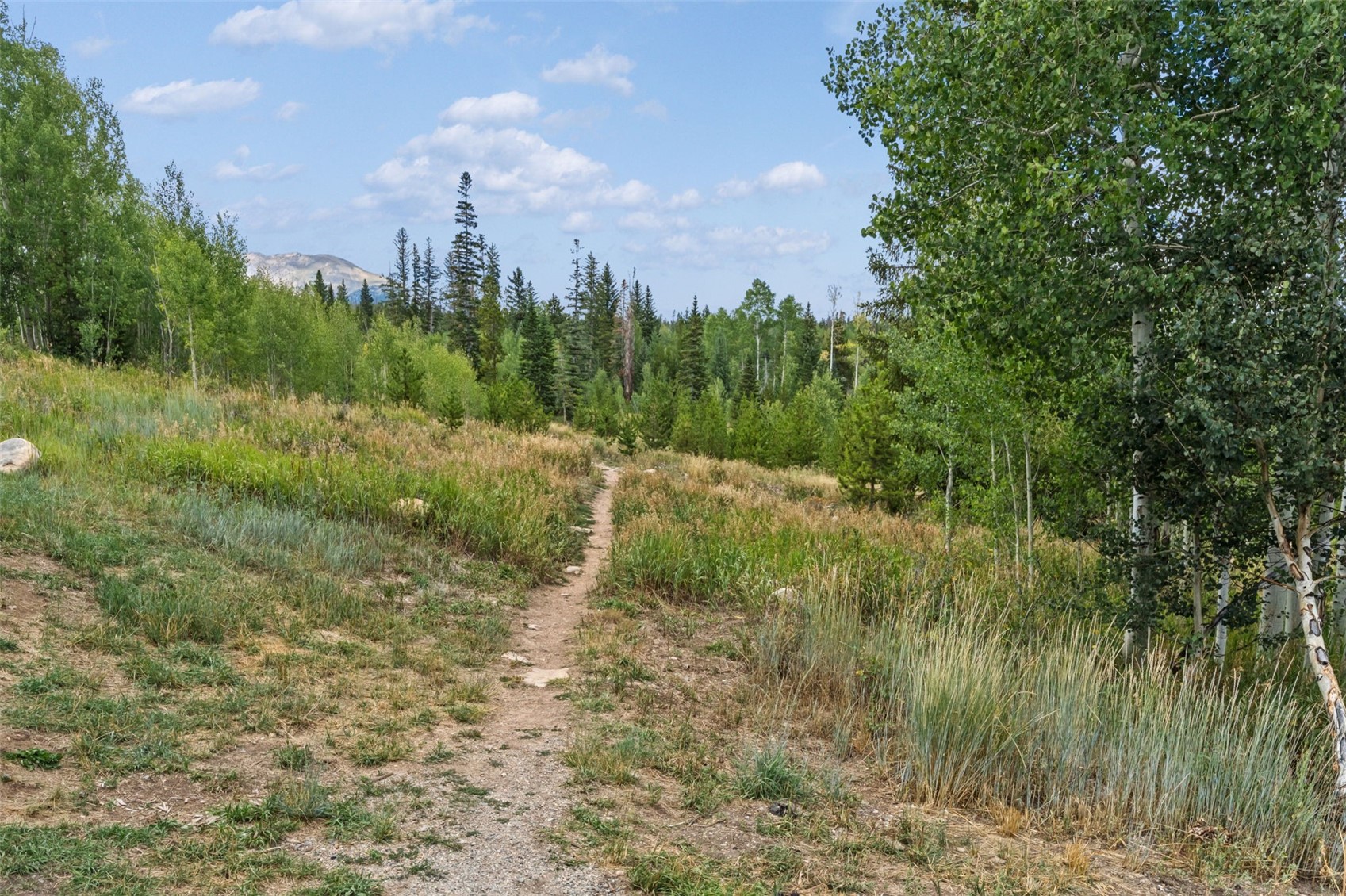 6714 Ryan Gulch Road Silverthorne CO 80498
