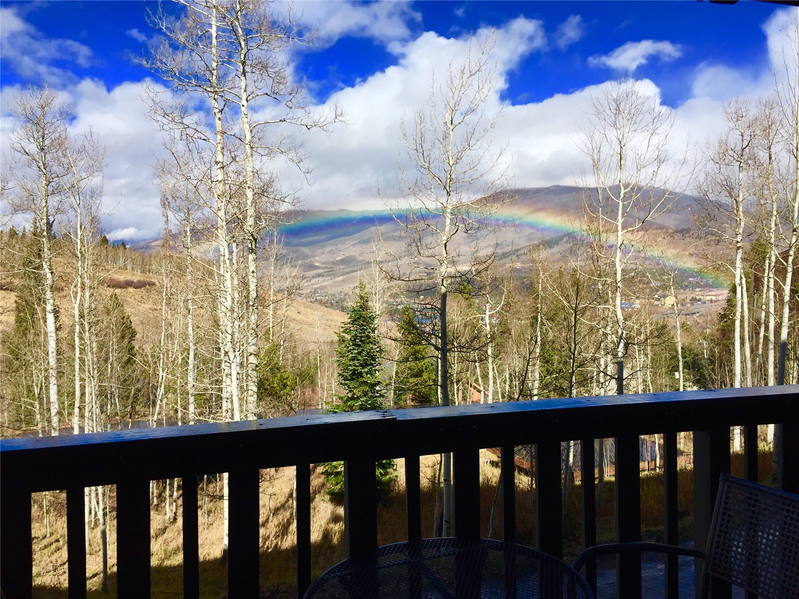 2510 Ryan Gulch Road Silverthorne CO 80498