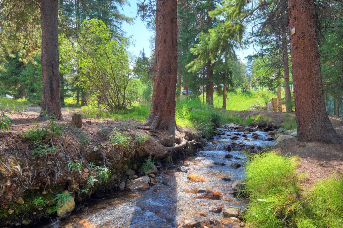 120 Sawmill Road Breckenridge CO 80424