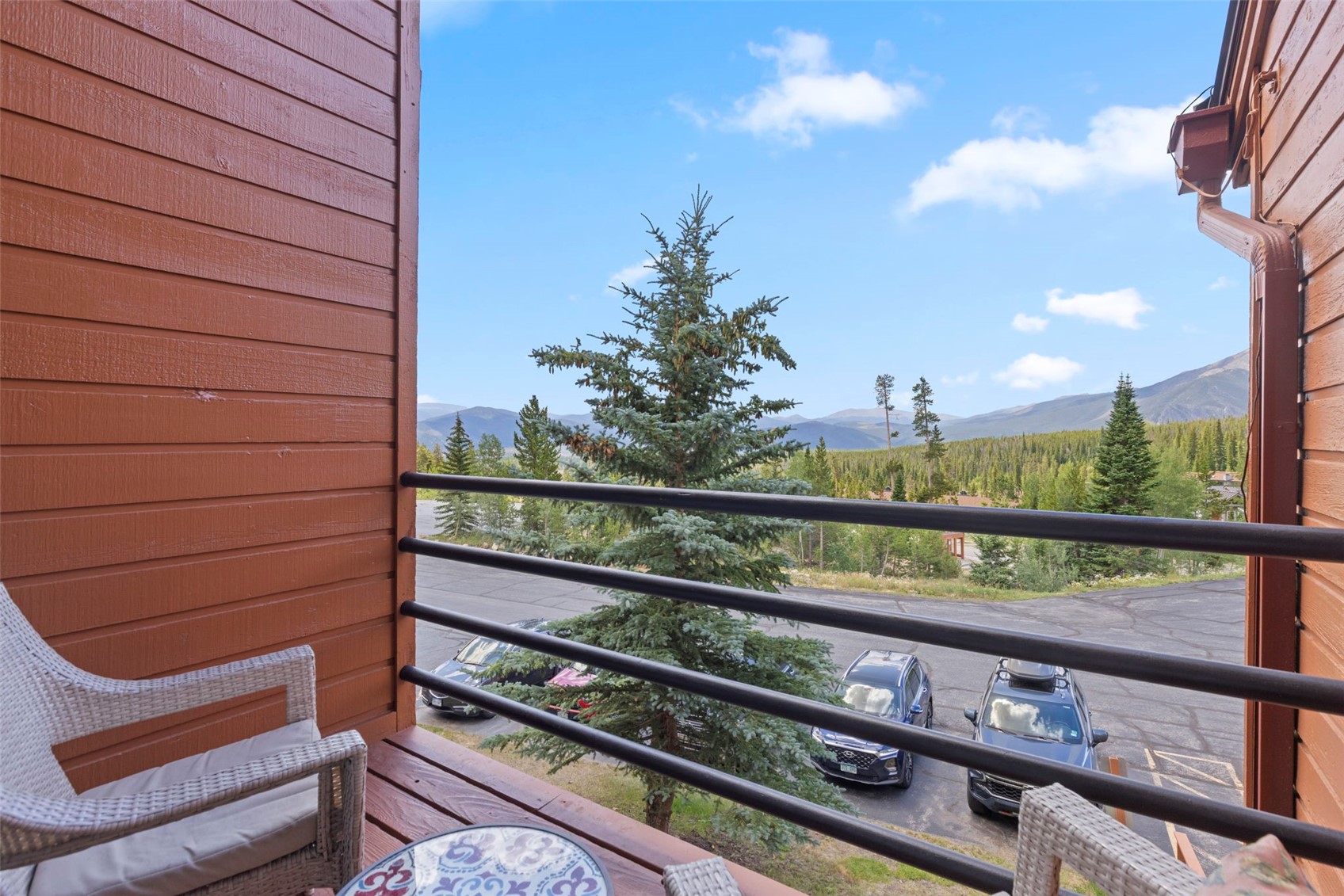 91300 Ryan Gulch Road Silverthorne CO 80498