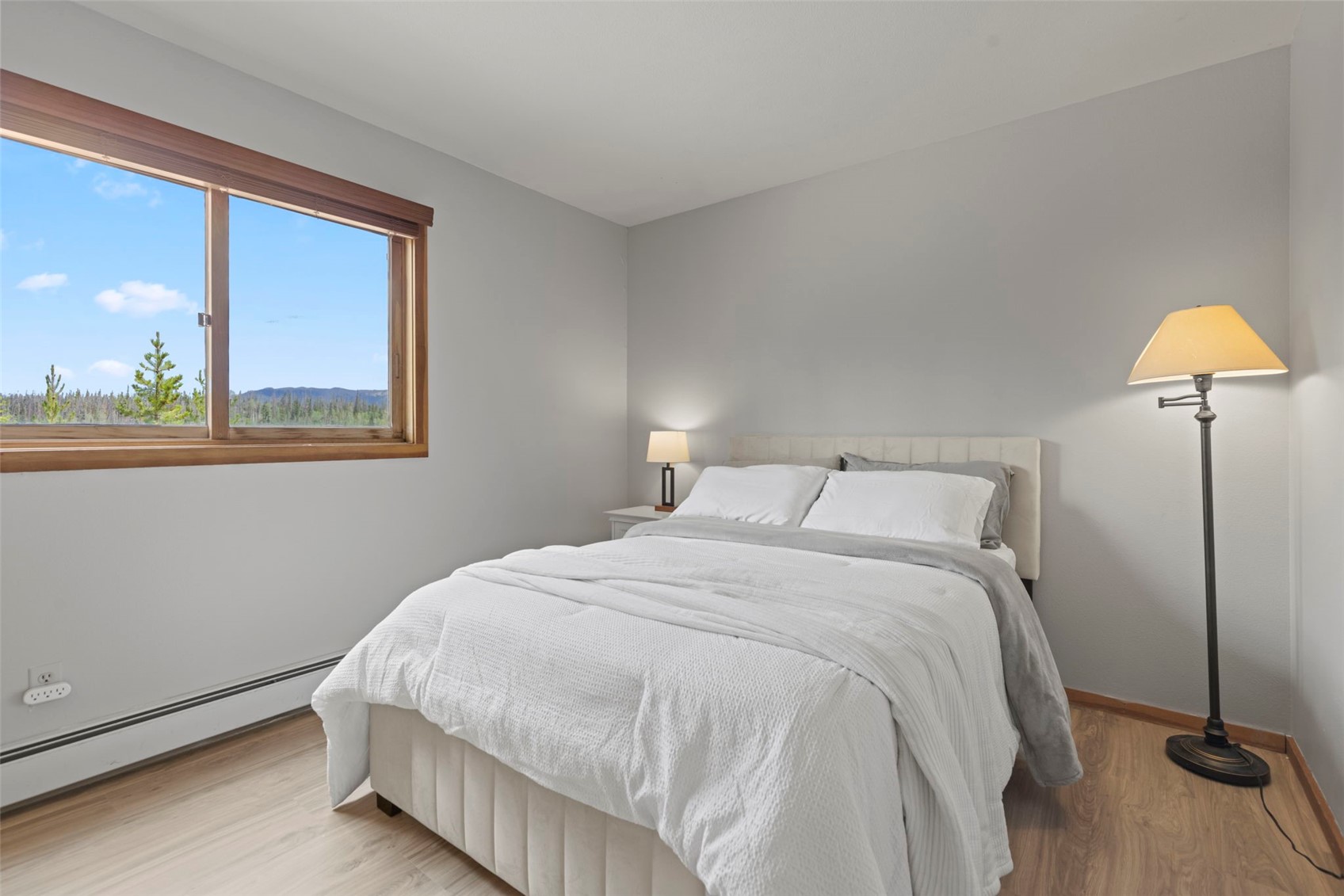 91300 Ryan Gulch Road Silverthorne CO 80498