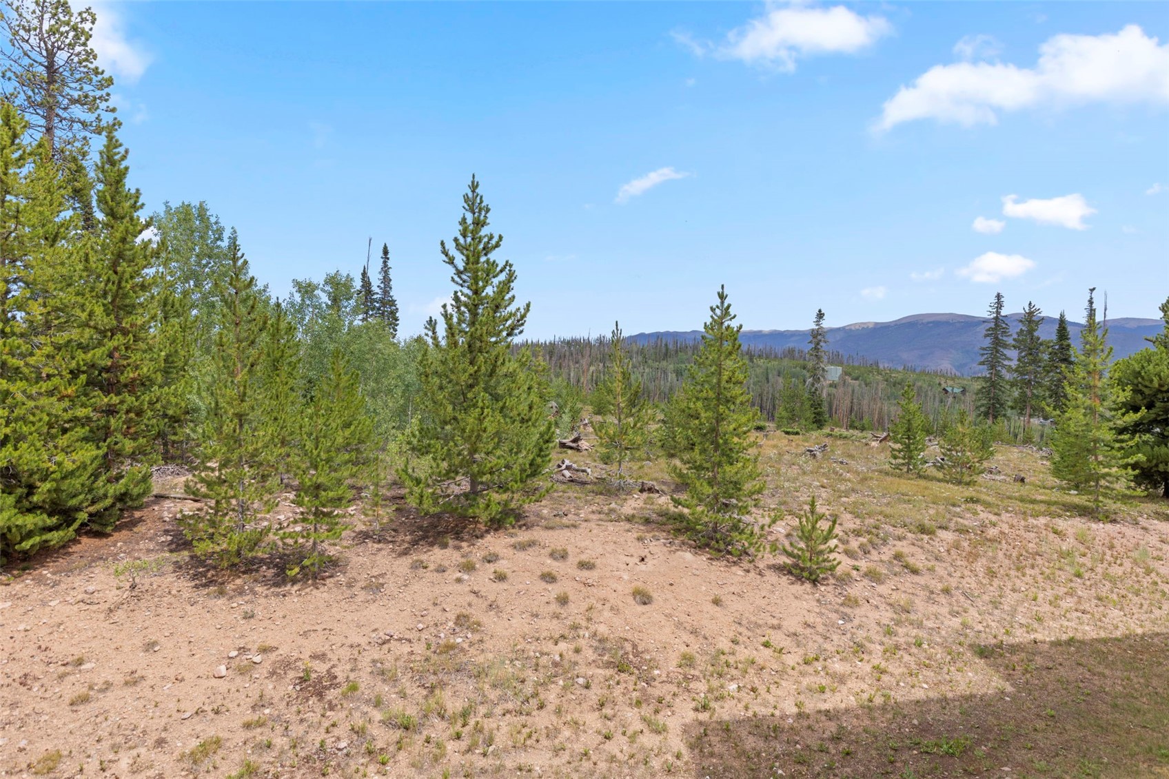 91300 Ryan Gulch Road Silverthorne CO 80498