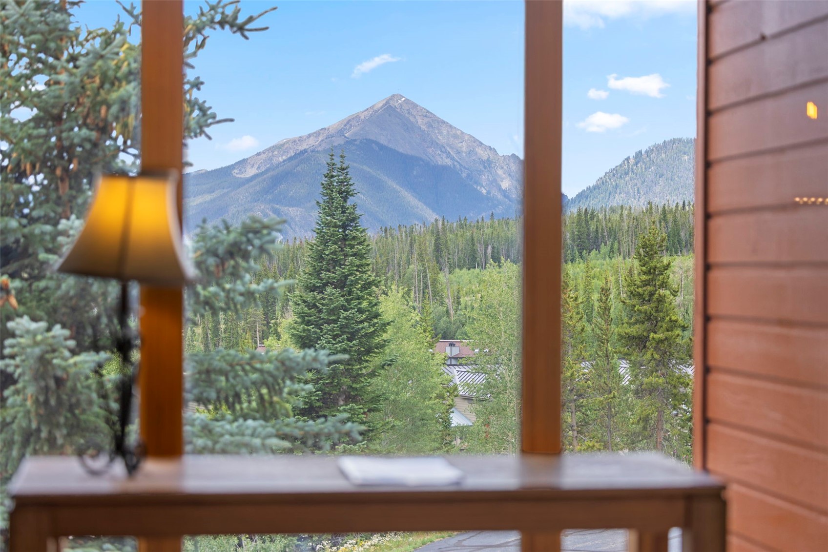 91300 Ryan Gulch Road Silverthorne CO 80498