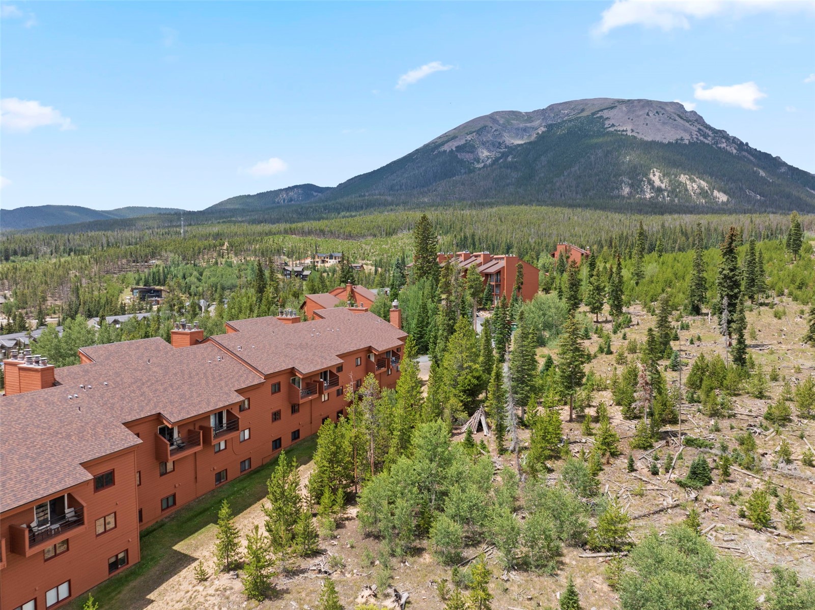 91300 Ryan Gulch Road Silverthorne CO 80498