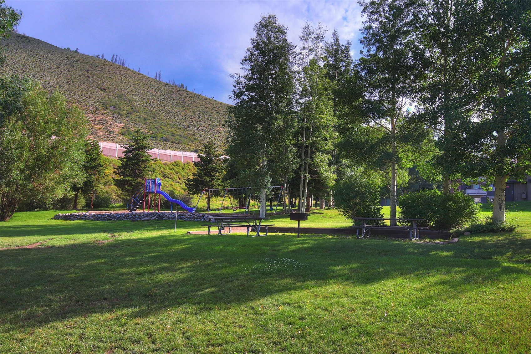 1173 Straight Creek Drive Dillon CO 80435
