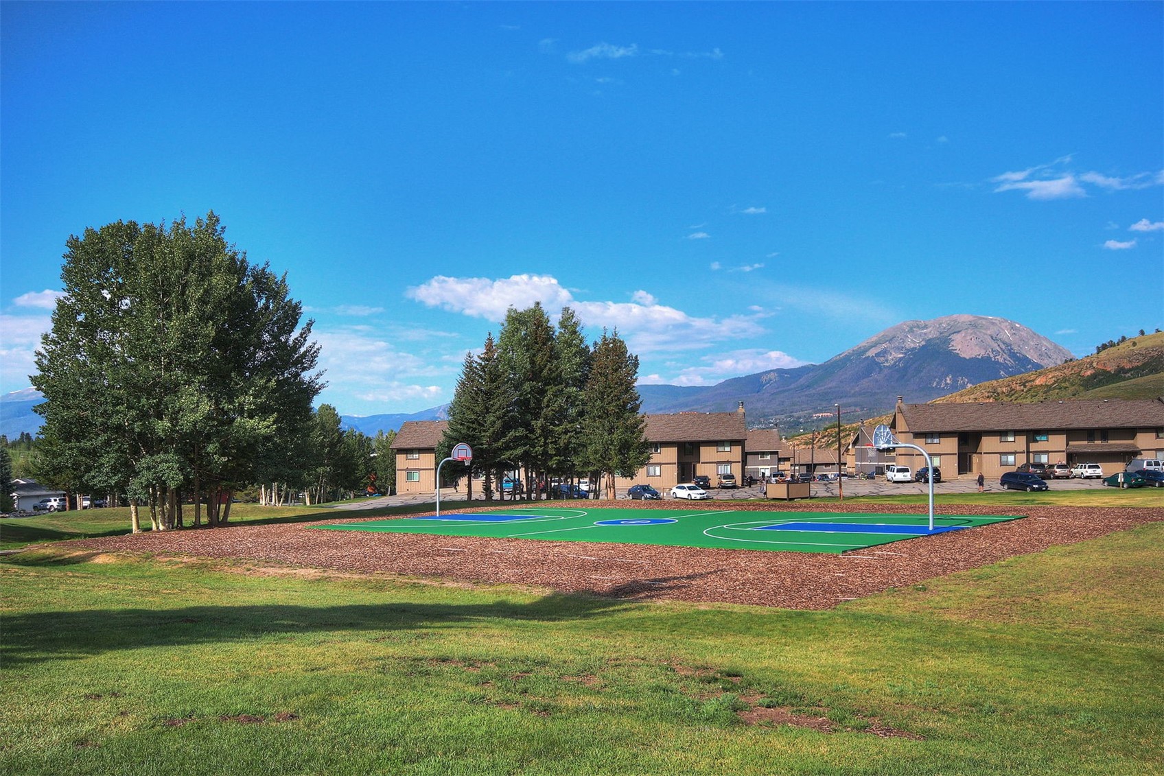 1173 Straight Creek Drive Dillon CO 80435