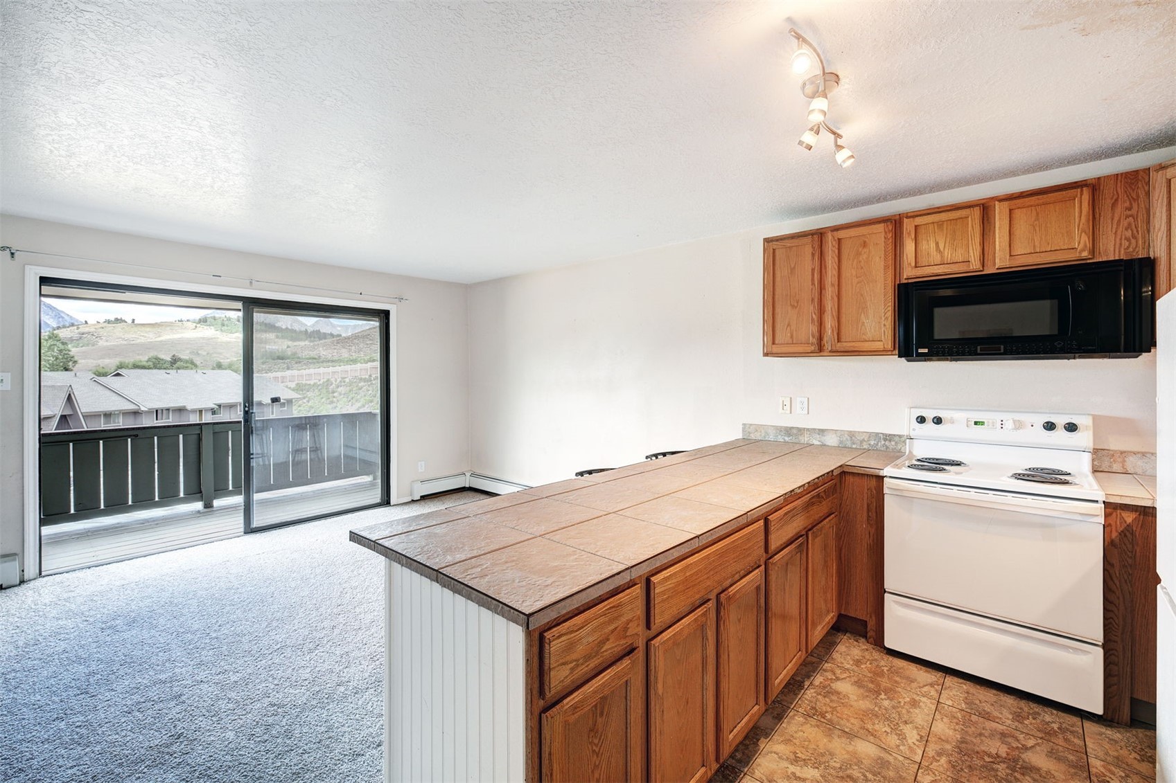 1173 Straight Creek Drive Dillon CO 80435