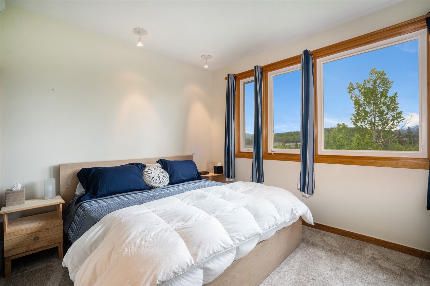 454 Salt Lick Circle Silverthorne CO 80498