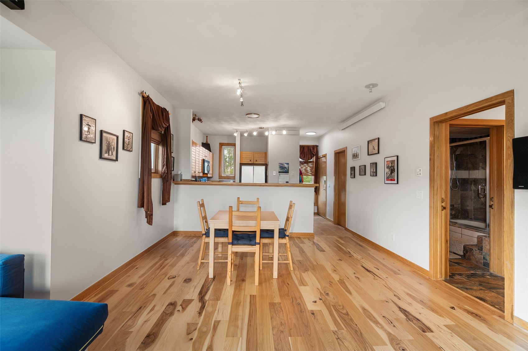 454 Salt Lick Circle Silverthorne CO 80498