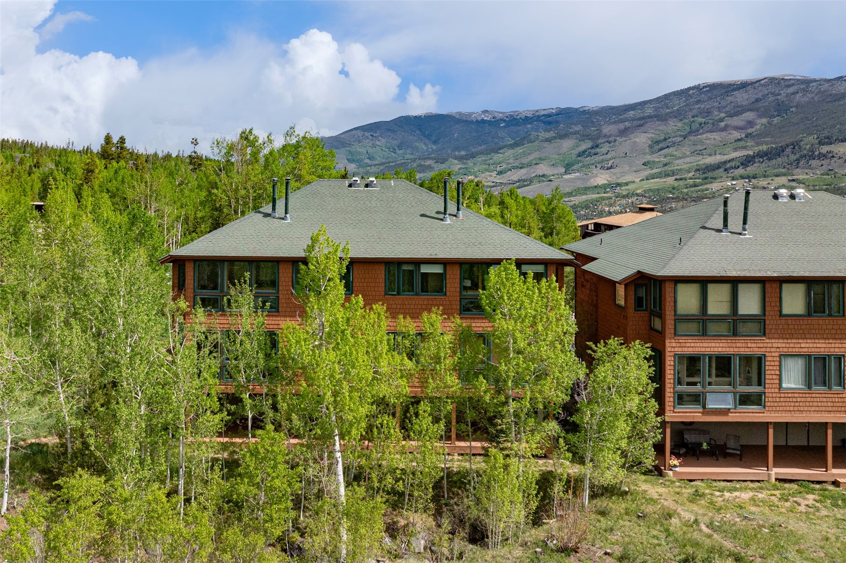 454 Salt Lick Circle Silverthorne CO 80498
