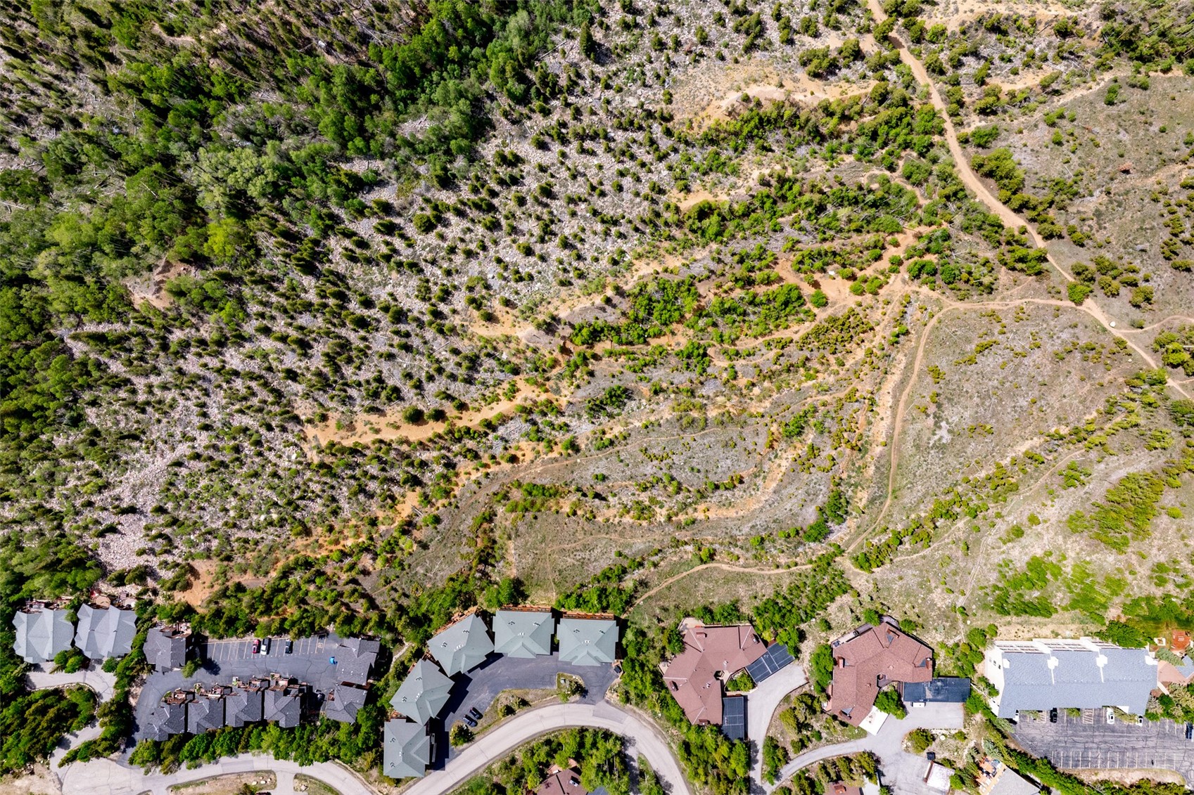 454 Salt Lick Circle Silverthorne CO 80498