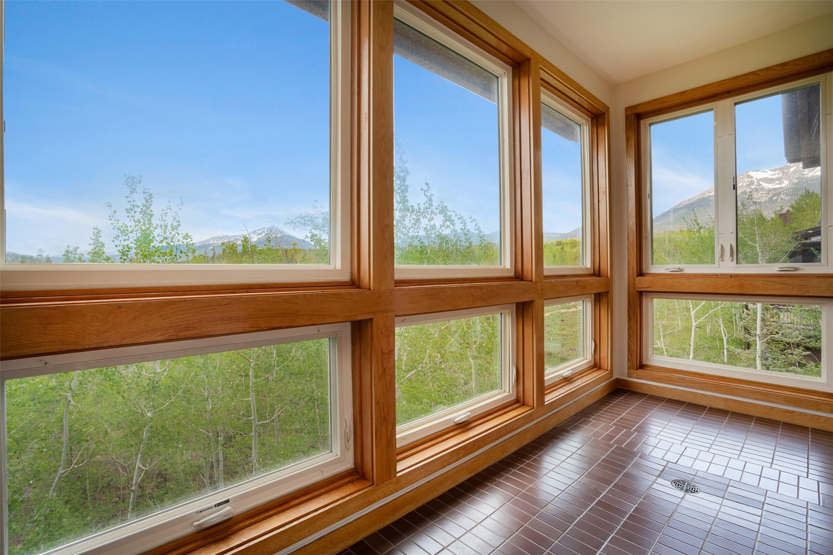 454 Salt Lick Circle Silverthorne CO 80498