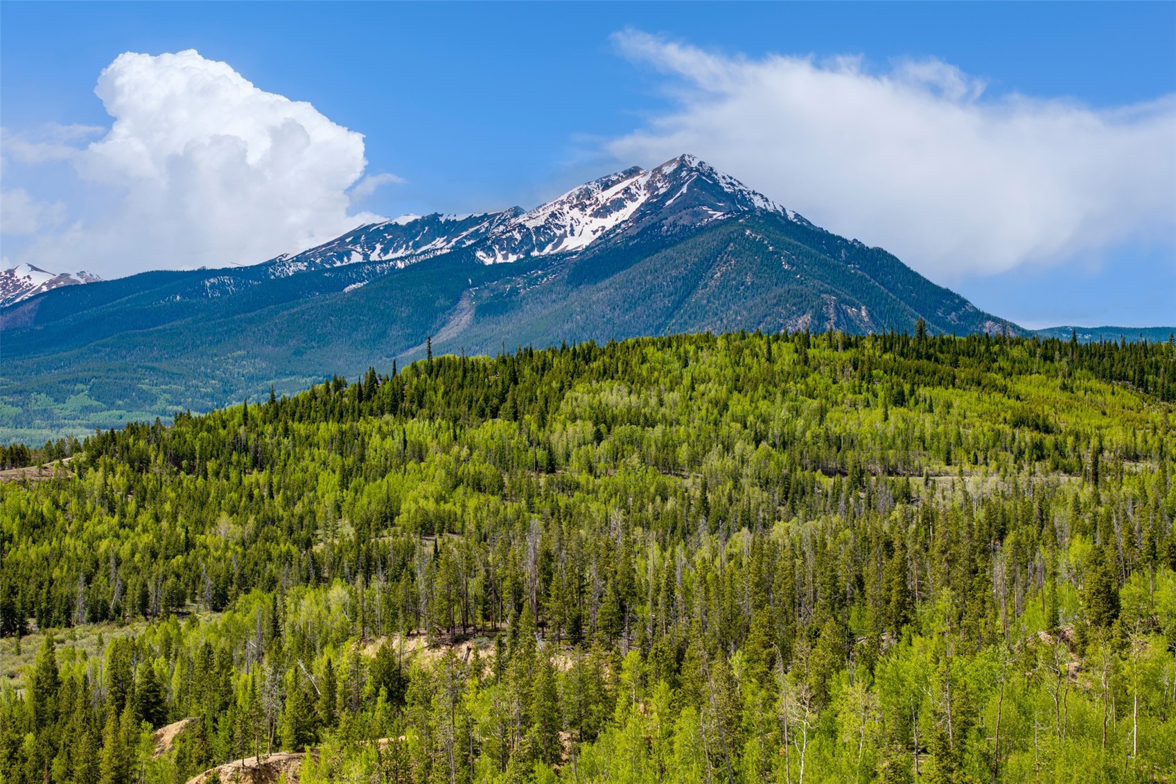 454 Salt Lick Circle Silverthorne CO 80498