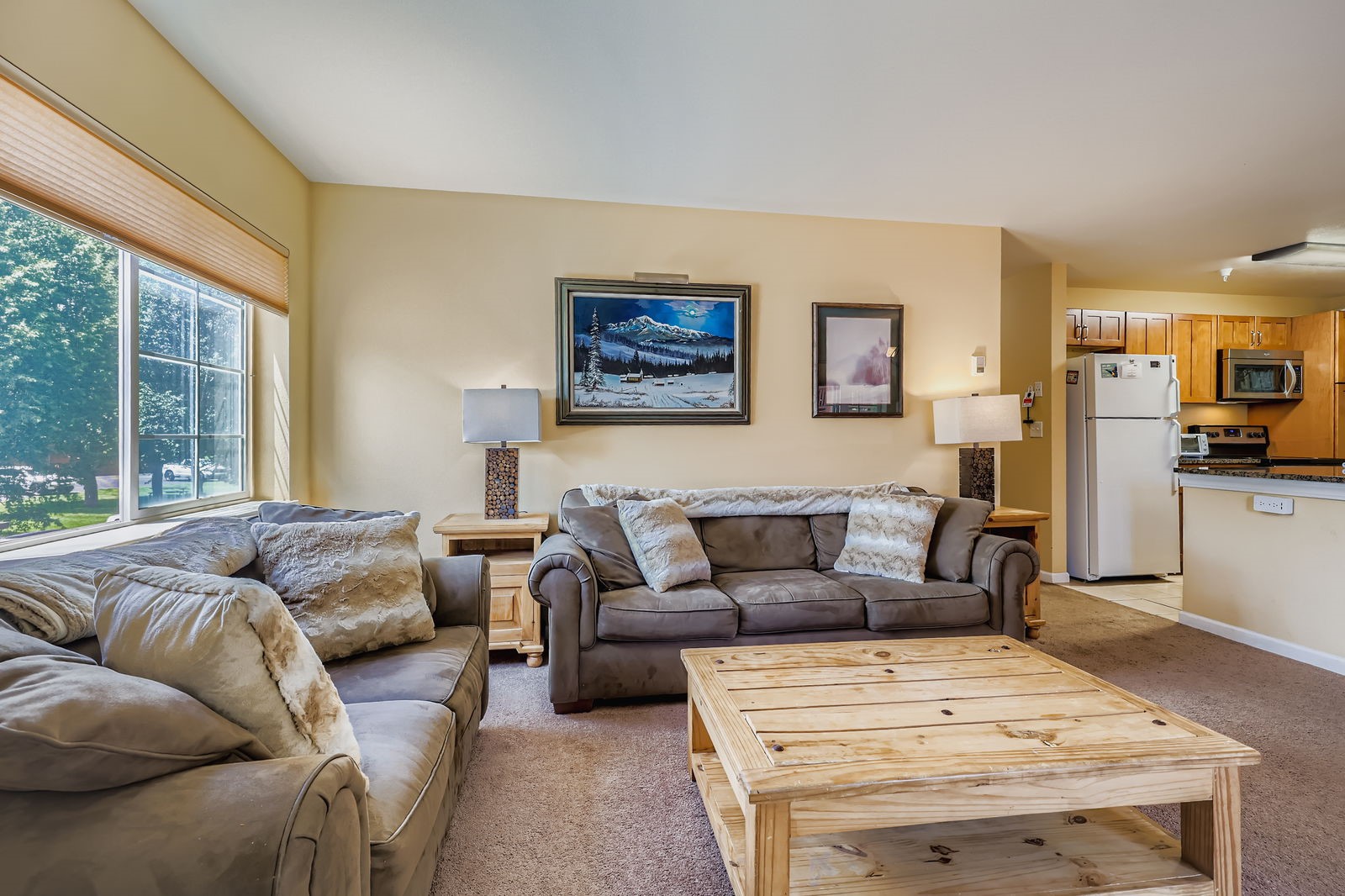 233 Pelican Circle Breckenridge CO 80424