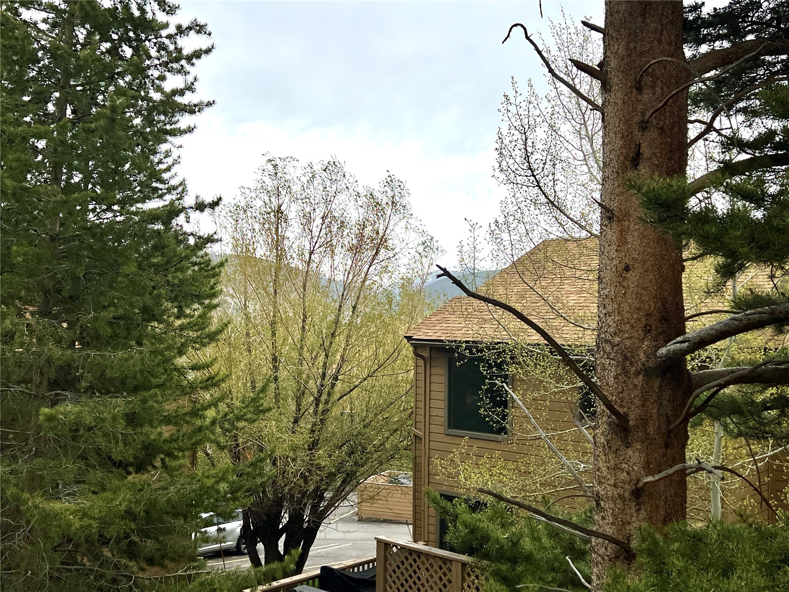 6722 Ryan Gulch Road Silverthorne CO 80498