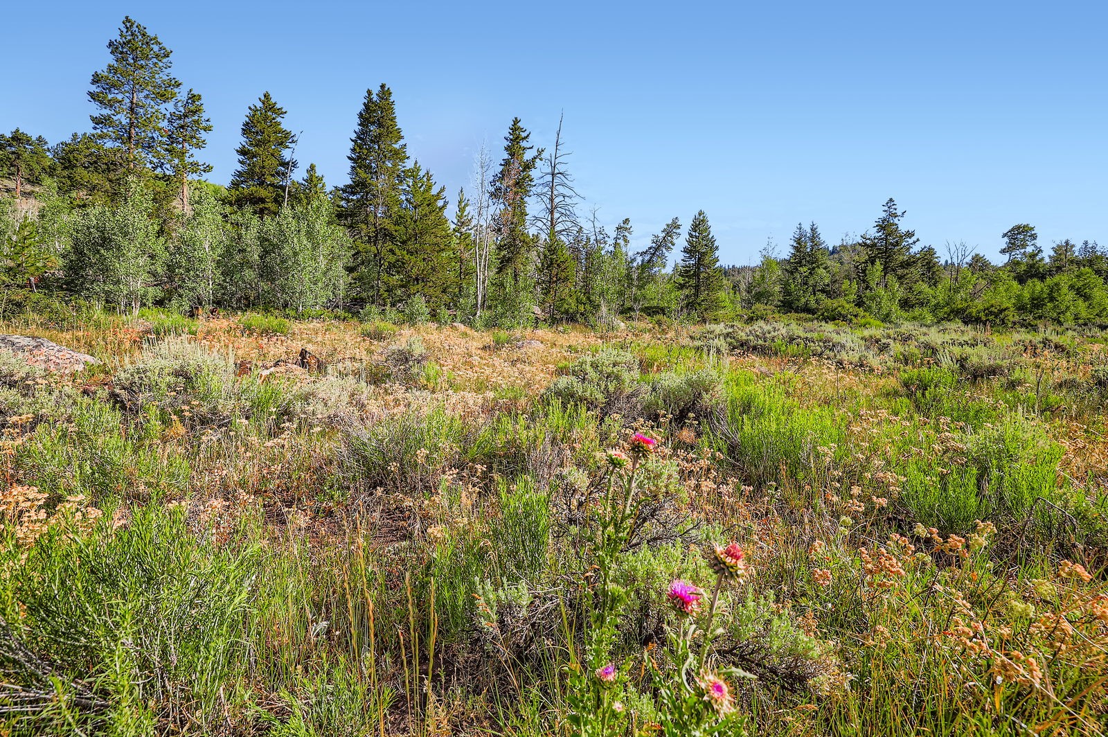 75 Antlers Gulch Road Keystone CO 80435